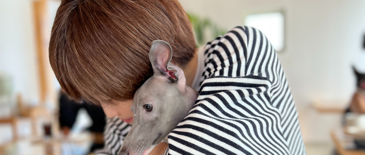 最近どうですか？お客様の声をプロダクトにつなげる！CS募集！