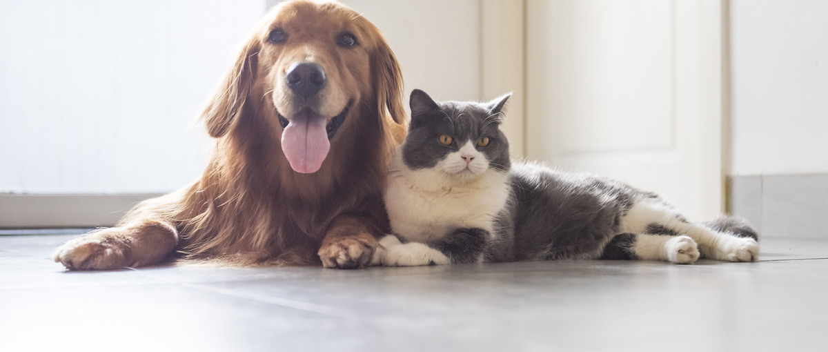 業界最大級求人メディアの成長を牽引するセールスマネージャー候補大募集！