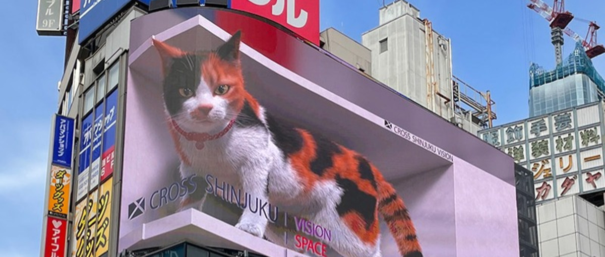 フルサイクル開発者募集 l 国内最大級DOOH配信システム/新宿の猫