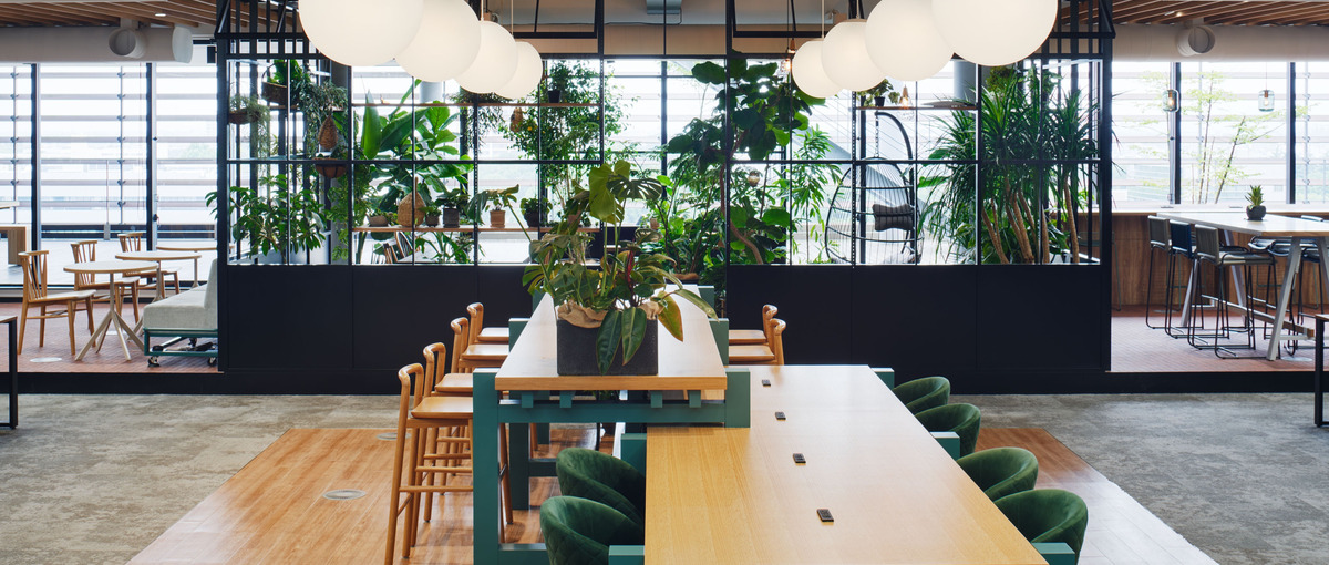 開墾プロジェクトの調査アシスタント募集！CADスキルを身に着けたい方歓迎