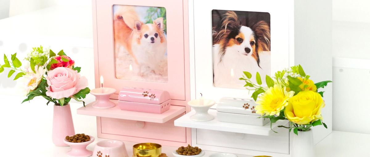 あなたの言葉で、悲しみに寄り添う。カスタマーサポート募集