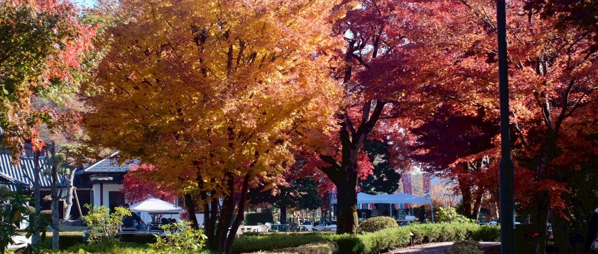 27卒｜全国50地域以上で展開！地域の未来を描きませんか