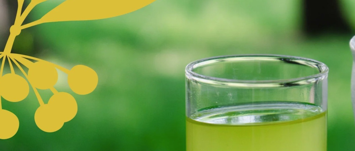 写真撮影が得意な方歓迎！イベントサポートメンバー募集！