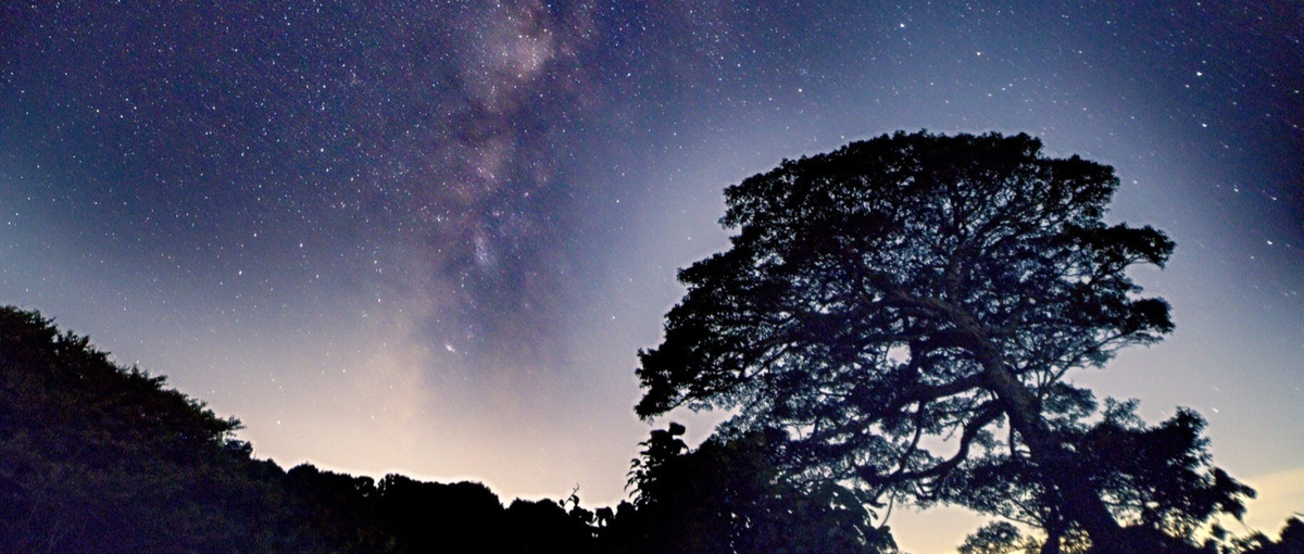 27卒｜前のめりな行動力で、地域の未来を一緒に作る仲間 Wanted！