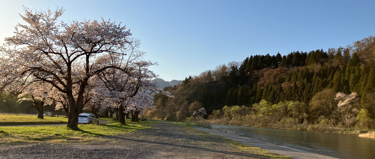 27卒｜全国各地を飛び回る！地域の数だけ学びがある！｜地域活性化事業