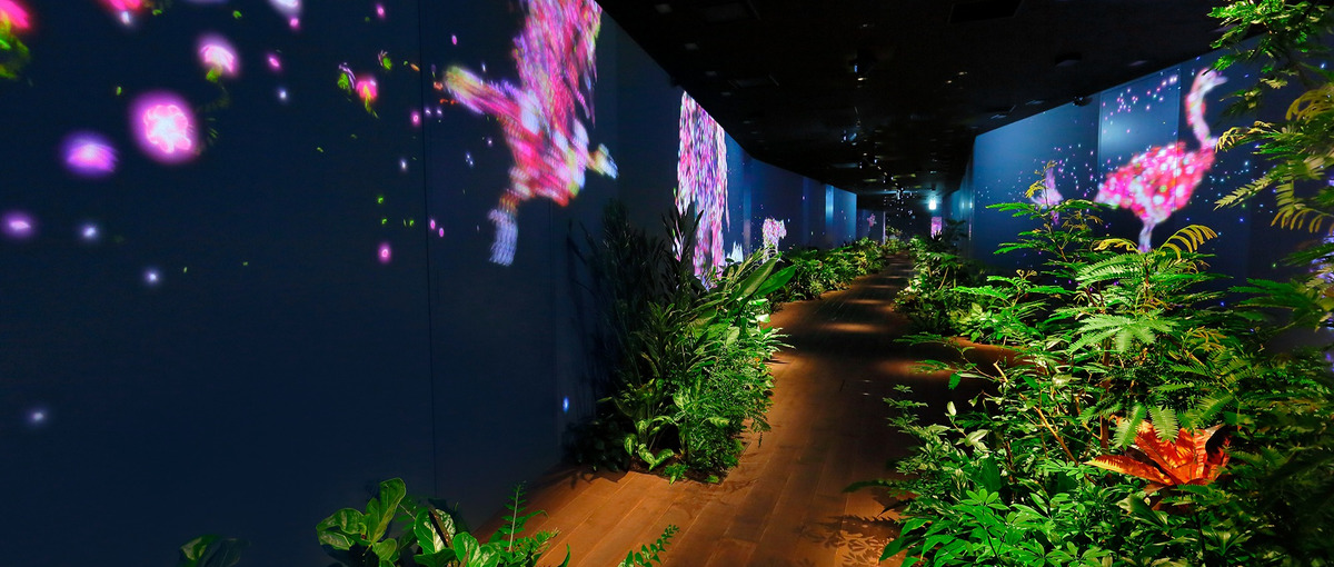  DMM GAMESをリードするインフラエンジニア募集！