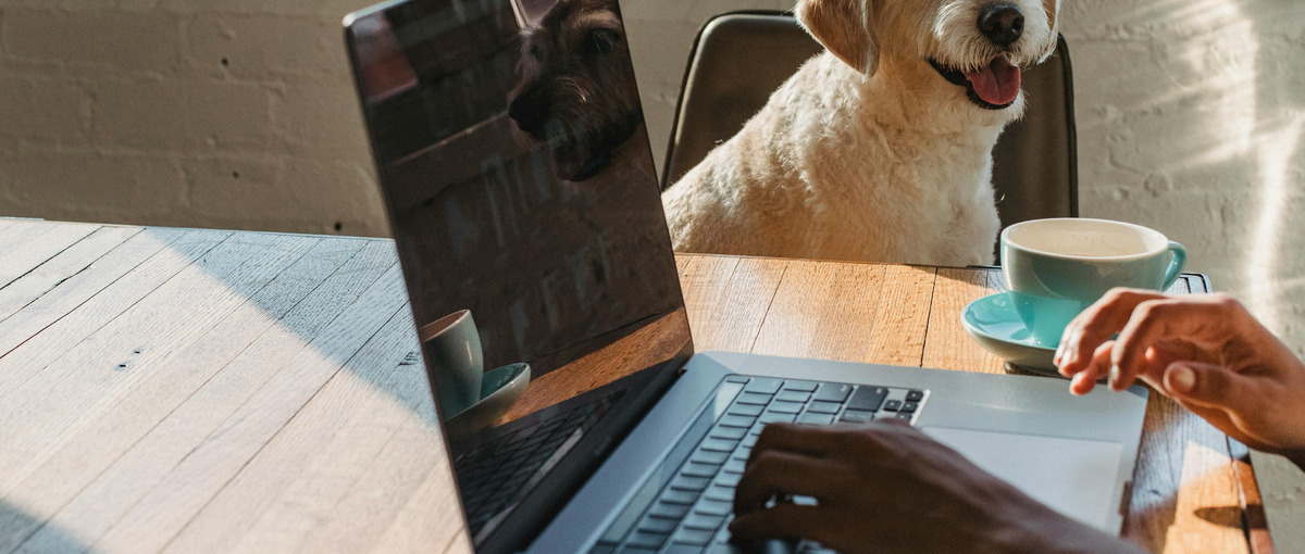 ITスタートアップのマーケティング担当の学生インターンを大募集！！