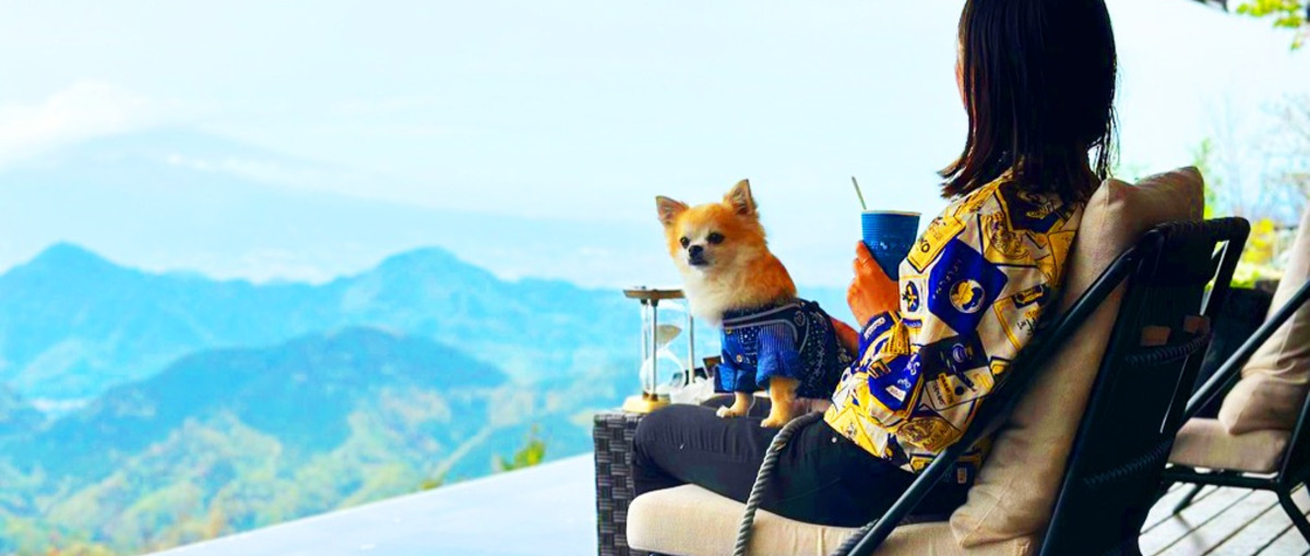  Node.js×TypeScript×自社サ！エンジニアさん募集！