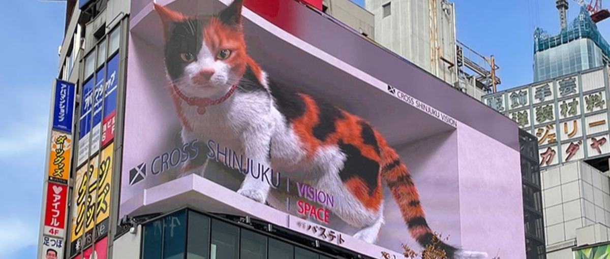 上場企業から生まれた自社プロダクトを扱うデジタルOOH営業 l 新宿の猫