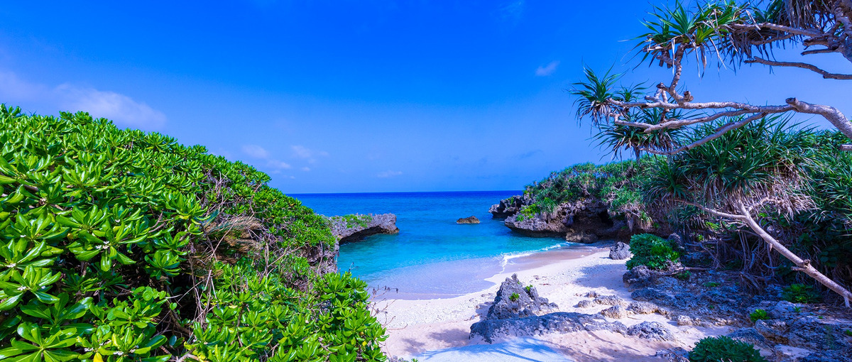 好きな地域に移住！豊かな自然に囲まれ、地域活性化事業に携わりませんか？