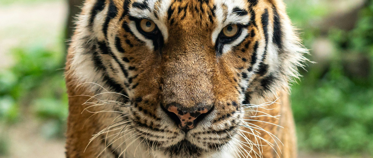 虎視眈々、次世代のエネルギー新事業立ち上げ！