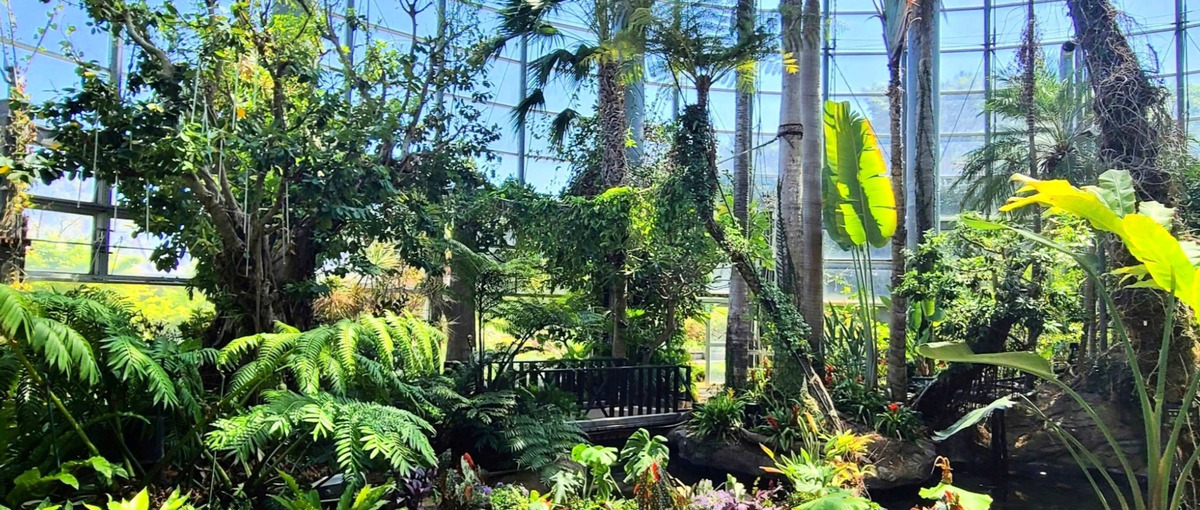 SNS運用のその先へ。地域を動かすPRに挑戦しませんか？