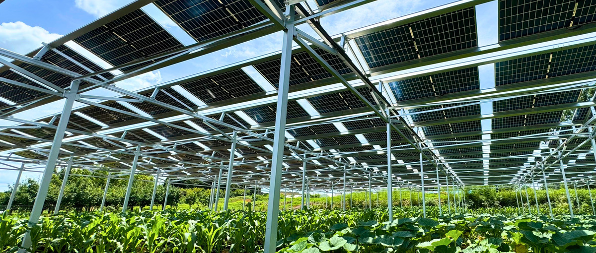 耕作放棄地問題や食料自給率アップに貢献！農場の測量・調査アシスタント募集