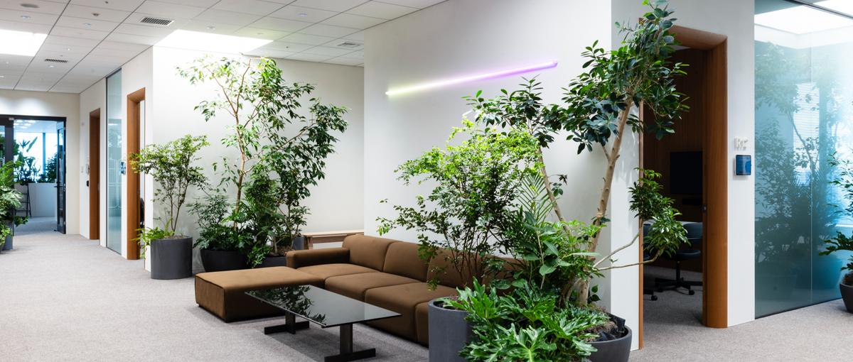 ビジネスプロデューサー｜デジタル×クリエイティブを体現する、営業担当