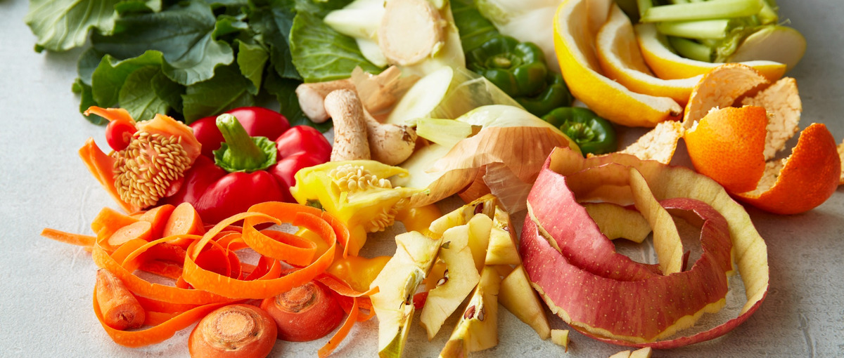 フードテックスタートアップで食品の商品開発していただける方を探しています！