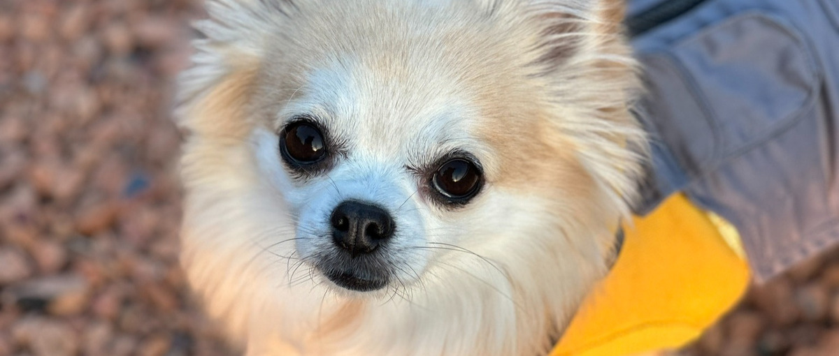 新規事業×自社開発にピンときたエンジニアさん募集！！