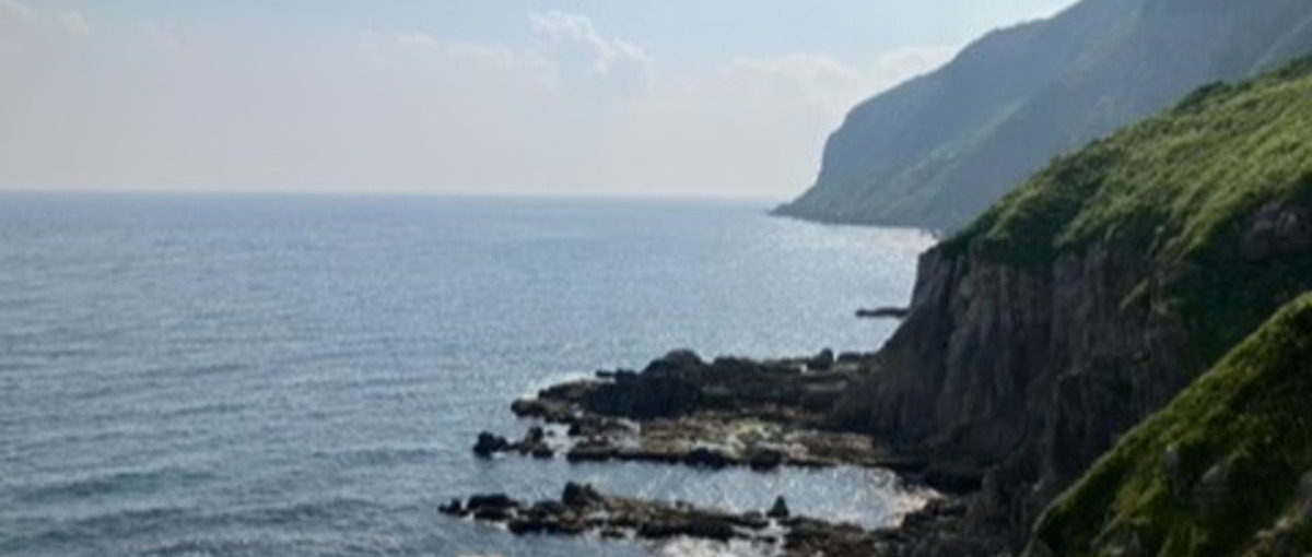 27卒｜50地域以上で活動！地域の魅力を引き出して形にする｜地域活性化事業