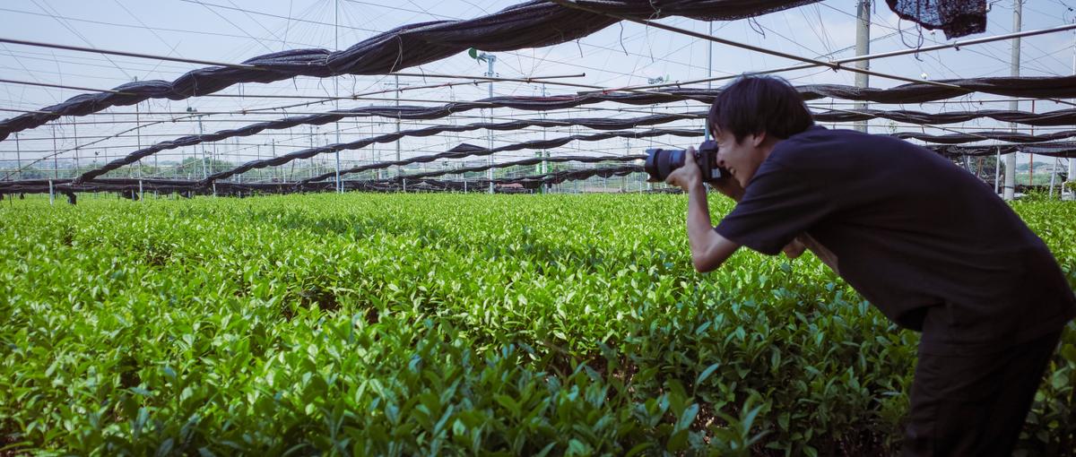 日本のお茶を世界へ！新規事業立ち上げメンバー募集