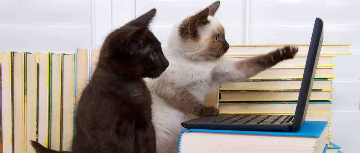 AI×Railsで開発効率をUP!SaaSのRailsエンジニア募集！