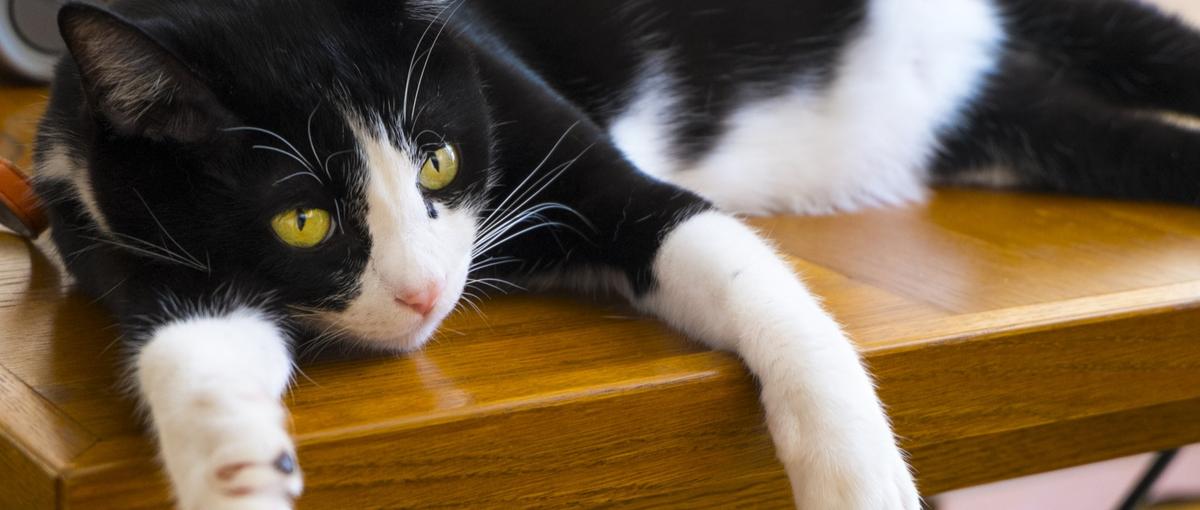 エンジニアリング×ビジネス、PMキャリアを積みたいエンジニア募集！