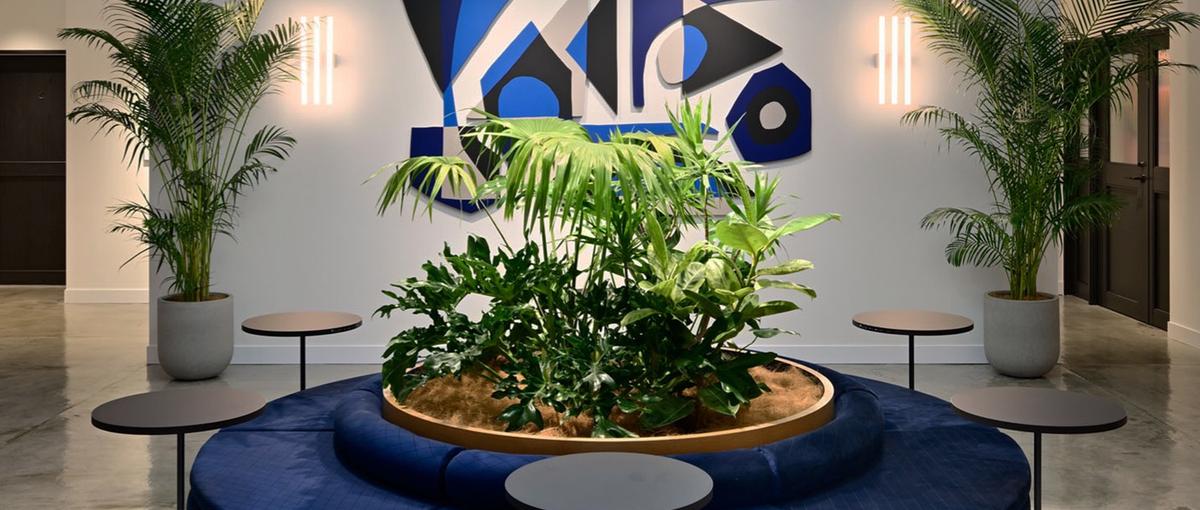 広告の常識を壊す！プレシリーズAのSaaSスタートアップで挑む法人営業