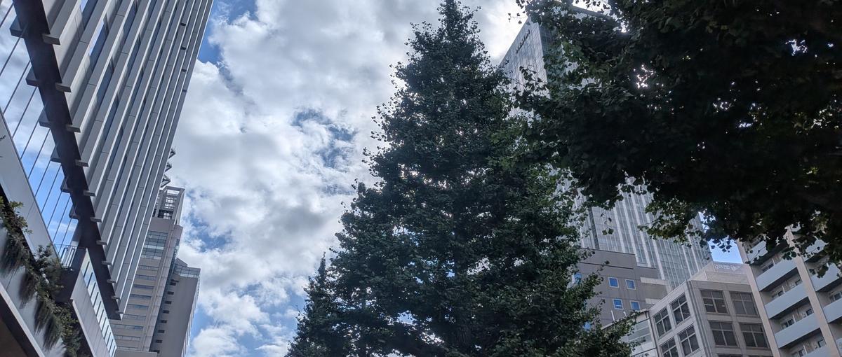 宮城｜仙台近郊/ヘルプデスク業務/OAサポート/実践環境でスキルを習得！