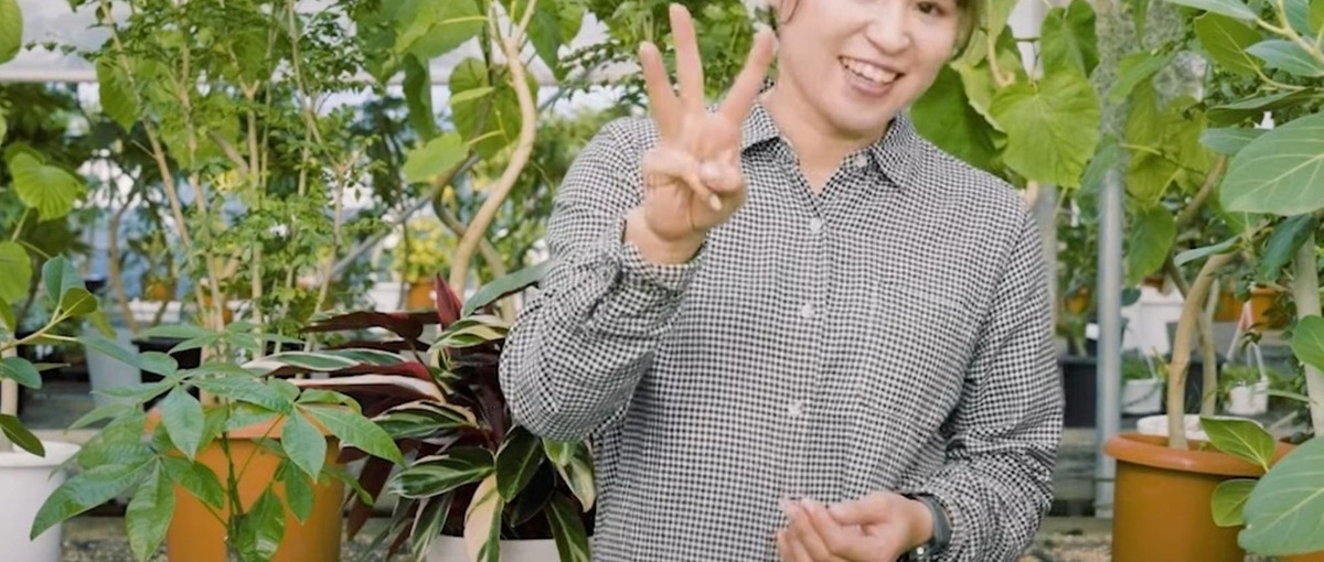 SNS動画編集者を募集！YouTube等／植物花のECアンドプランツ