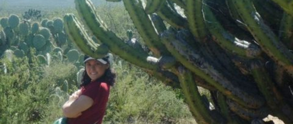 ひとりで判断を背負わず、チームで進めるカスタマーサポート