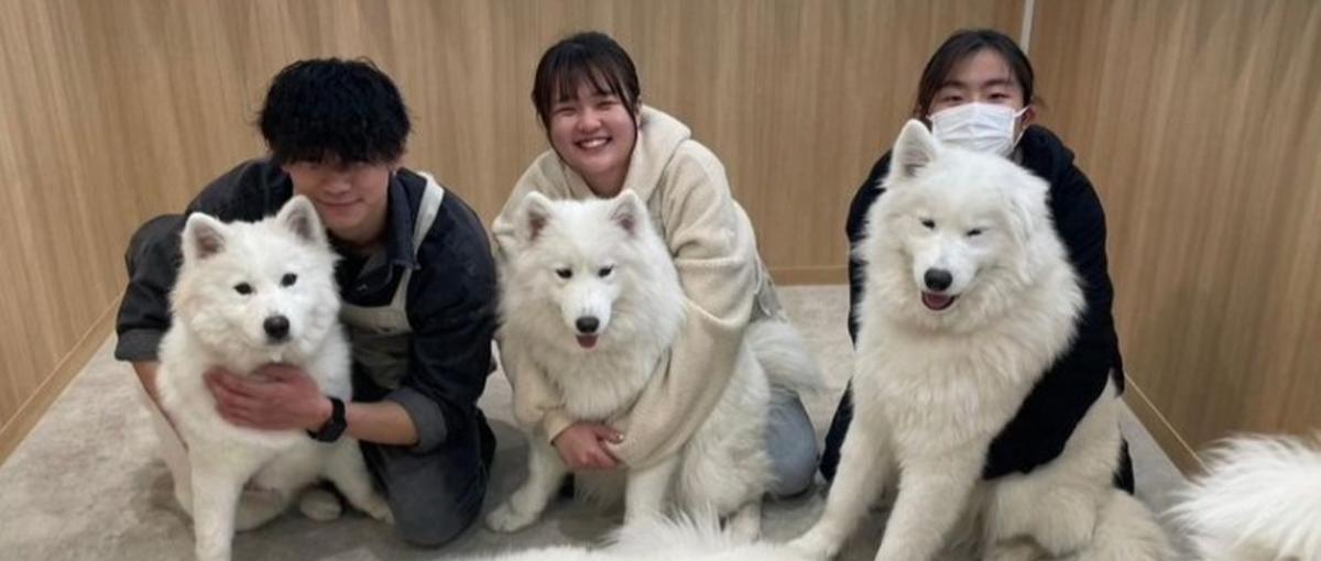 事業成長を数字で支える！多事業展開企業の経理事務