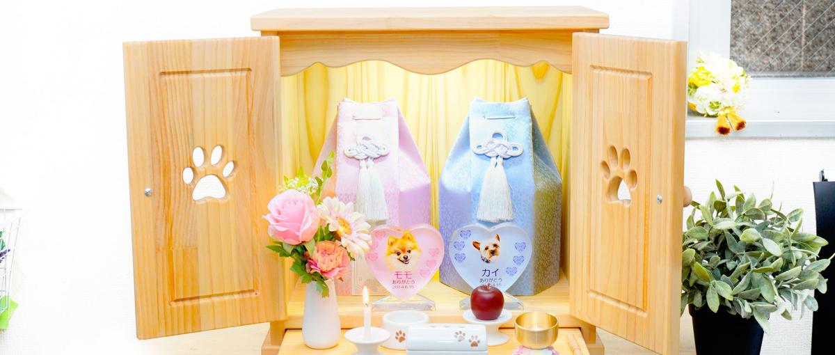 やさしい時間が流れるお店で、家族とペットの絆を支える仕事。店舗スタッフ募集