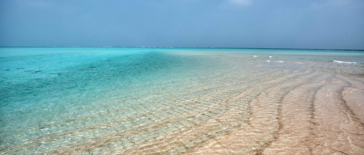 千葉に移住し、新たなワークスタイルへ！地域の魅力を伝えるライター募集！