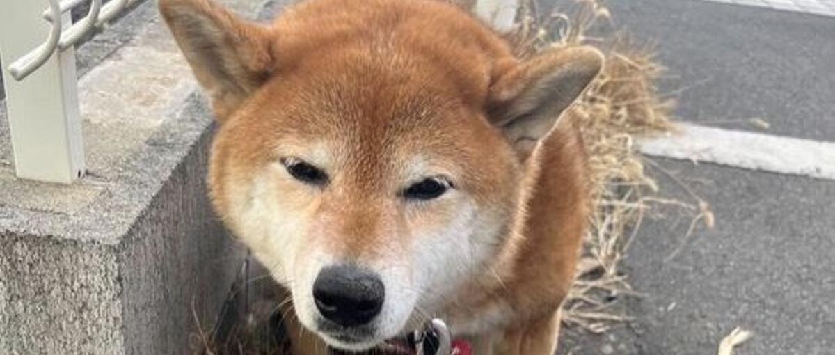 ライフワークバランスを重視！OJTで安心してエンジニア目指せる最高の環境