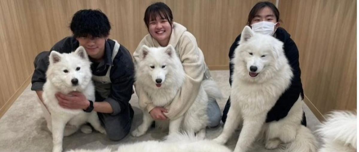 会社を整え、少しずつ良くする｜総務メンバー募集