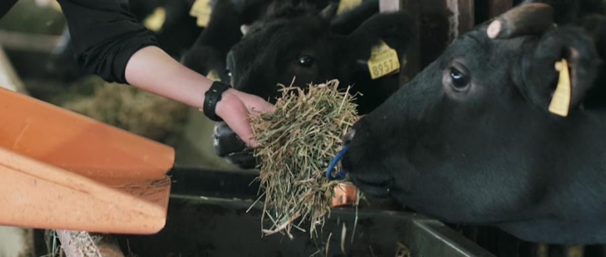 ひとり。地方企業を担ぐため魂で語り合えるか？泥まみれの番頭