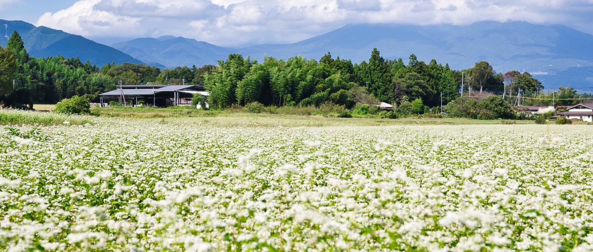 富山に移住し、新たなワークスタイルへ！地域の魅力を伝えるライター募集！