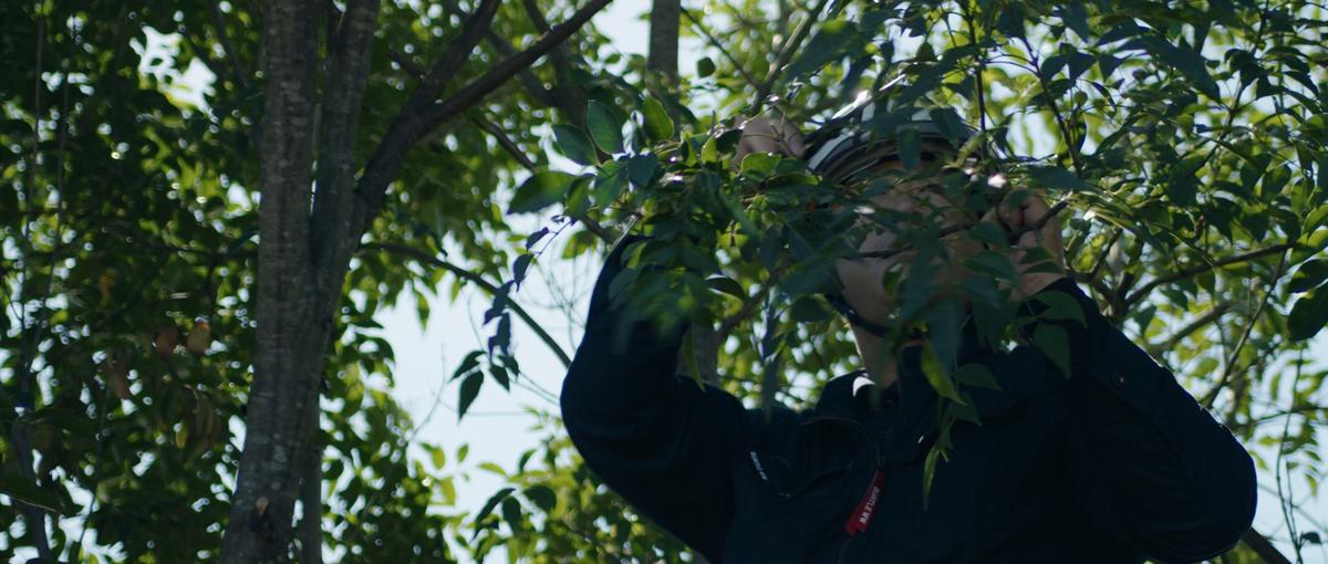 緑をつくる現場の司令塔｜造園工事 施工管理｜東京都