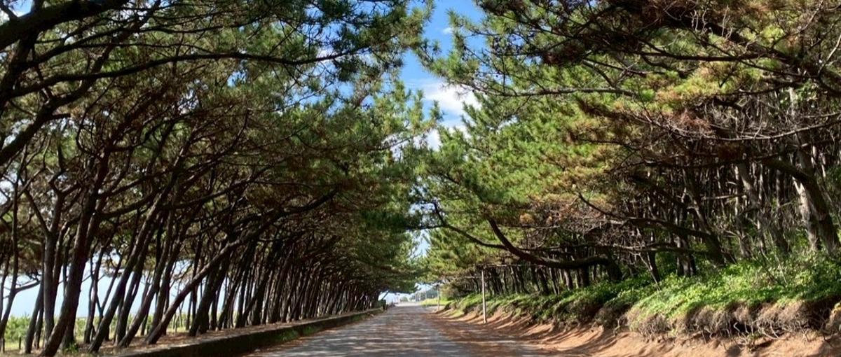 公園づくりのプロフェッショナルを目指しませんか？