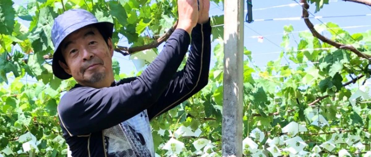 地方活性化　UI×世界観設計まで挑戦できるデザイナーを募集