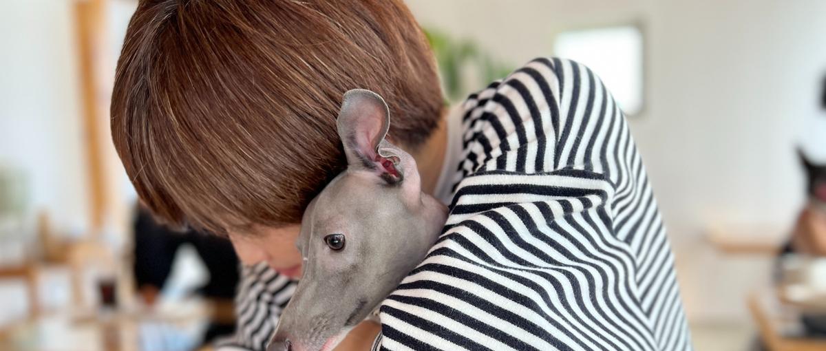 接客のプロを募集！細やかな配慮と調整力を活かしてIT領域のCSに挑戦！