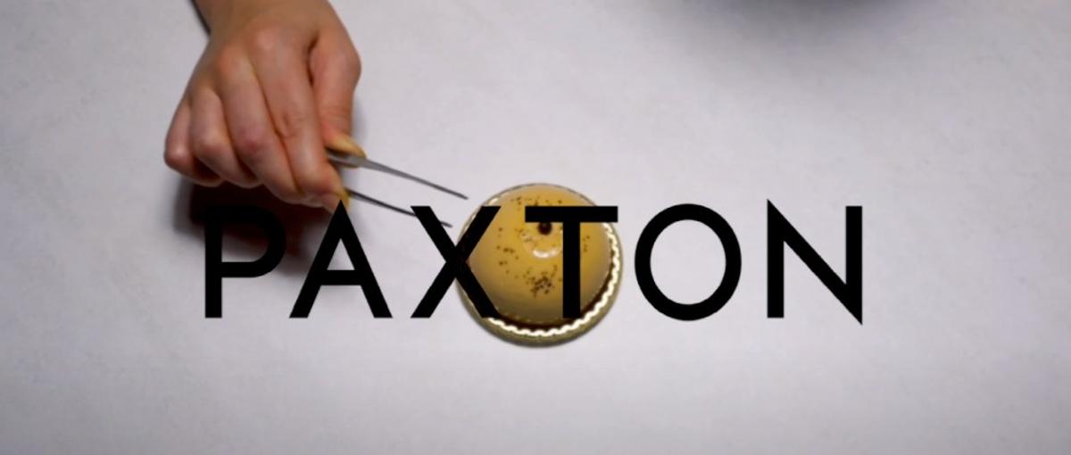 ECブランドのデザイナー｜ブランドづくりに興味がある人募集中！