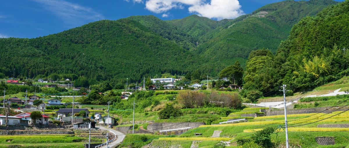 地域を盛り上げる裏方ヒーロー募集！地方創生×Web運用サポート