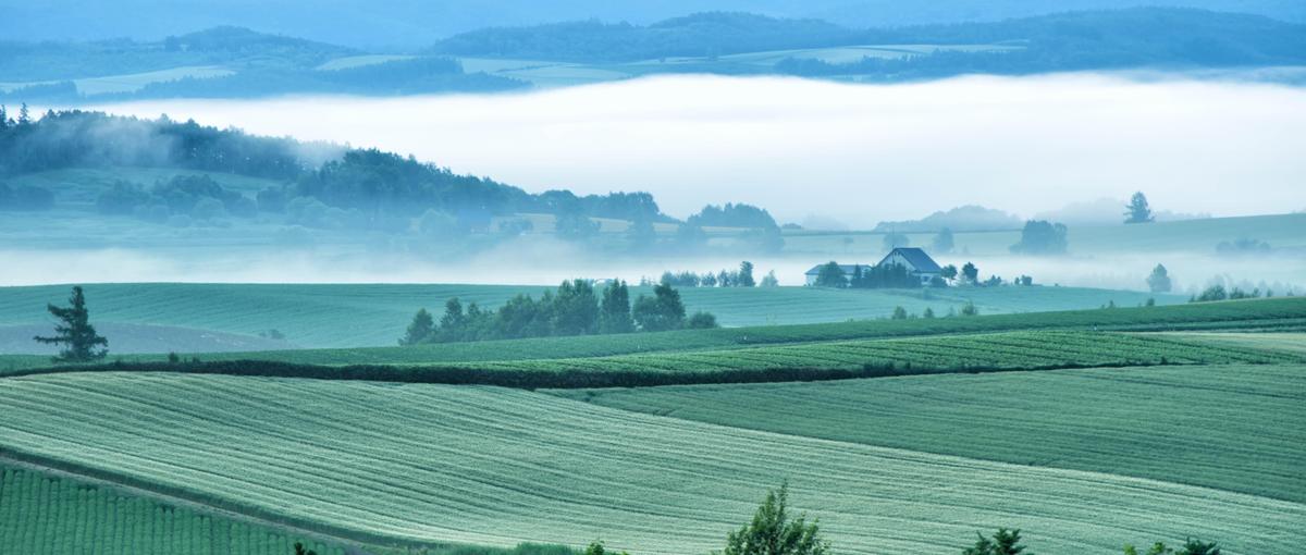 石川をAIの力で盛り上げる！地域の人手不足解消をテクノロジーで解決へ