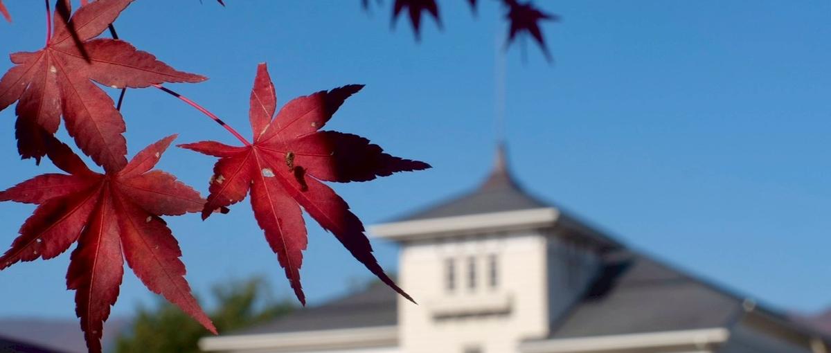 27卒｜50地域超の実績！地域を動かすプロジェクト｜地域創生コーディネータ