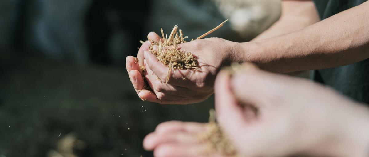 地方×世界！100年企業の再生をリードする。泥臭いPM