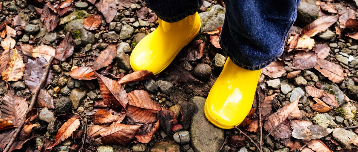 全国好きな場所から一緒に働きませんか？Webエンジニアさん募集！