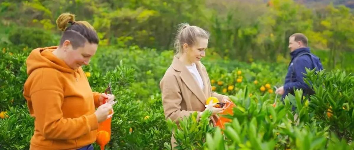 地域創生×観光でまちの誇りを輝かせる！地域観光課題のコンサルティング営業