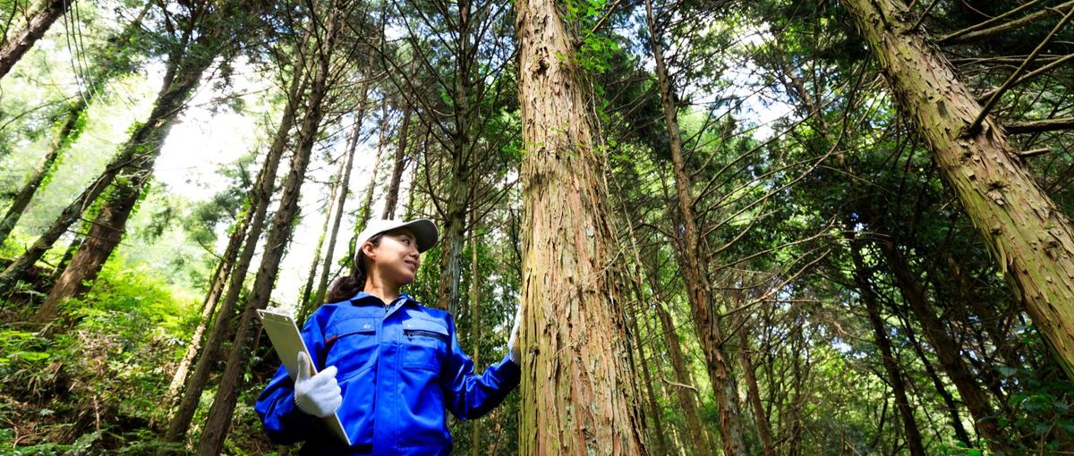 COO候補│採用をデザインし、伴走する。林業×HRの0→1を牽引するリーダ