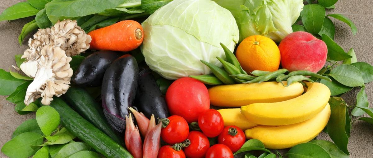 27卒｜ITで食の流通を支える総合職ポジション募集