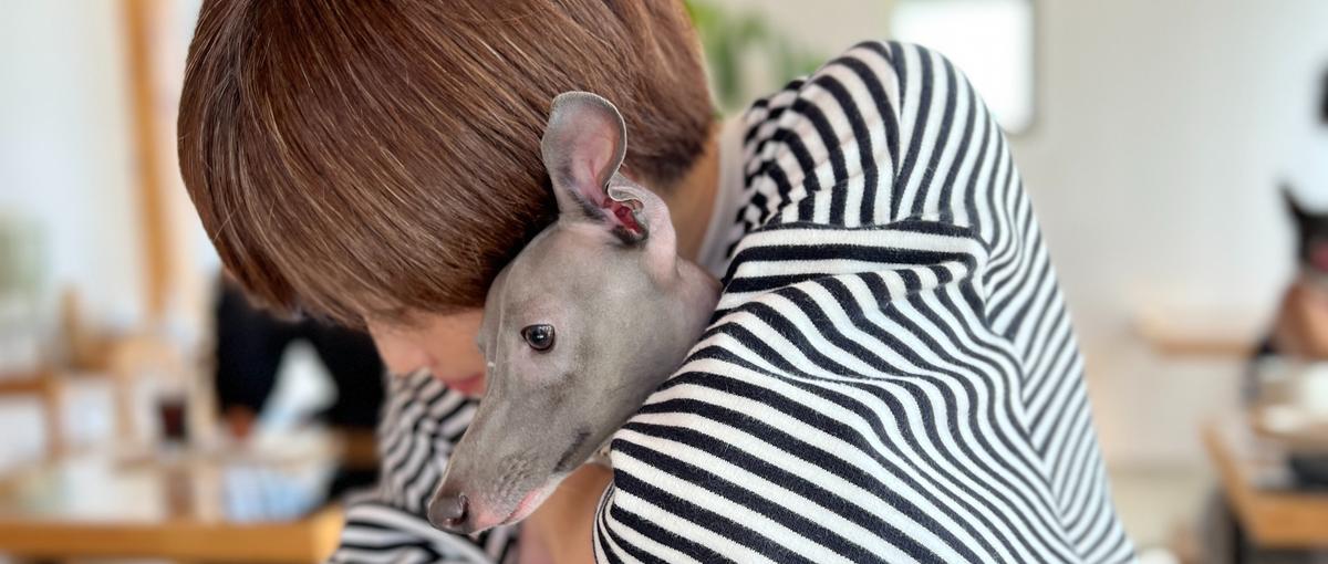 一生に一度の感動を作ってきたあなた！CSのプロとして活躍しませんか？