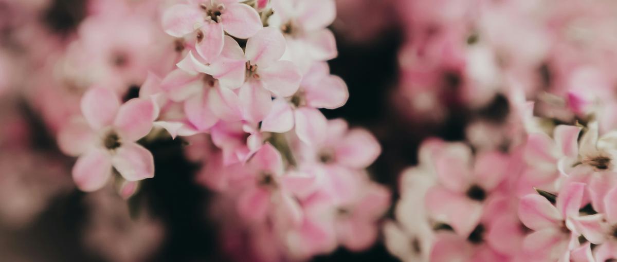 M&A／ファイナンス アドバイザー 募集！